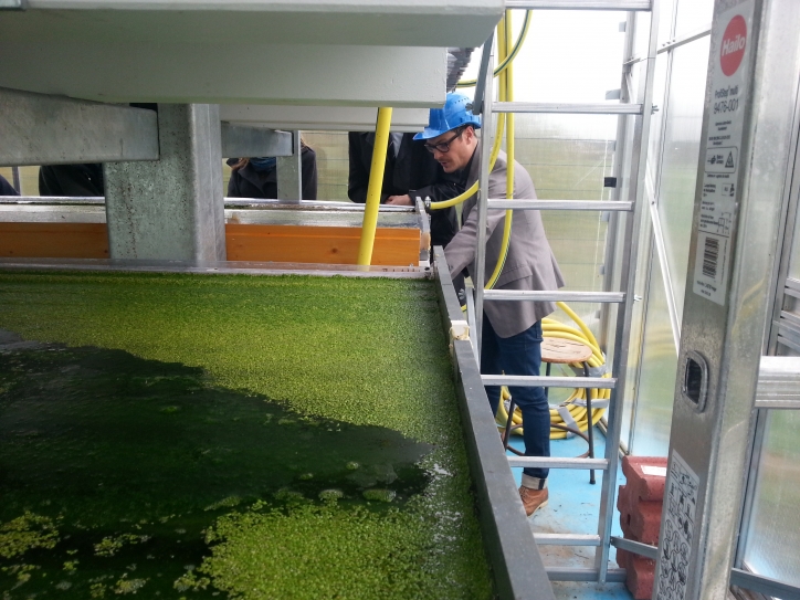 POWERSTEP regional event in Döben